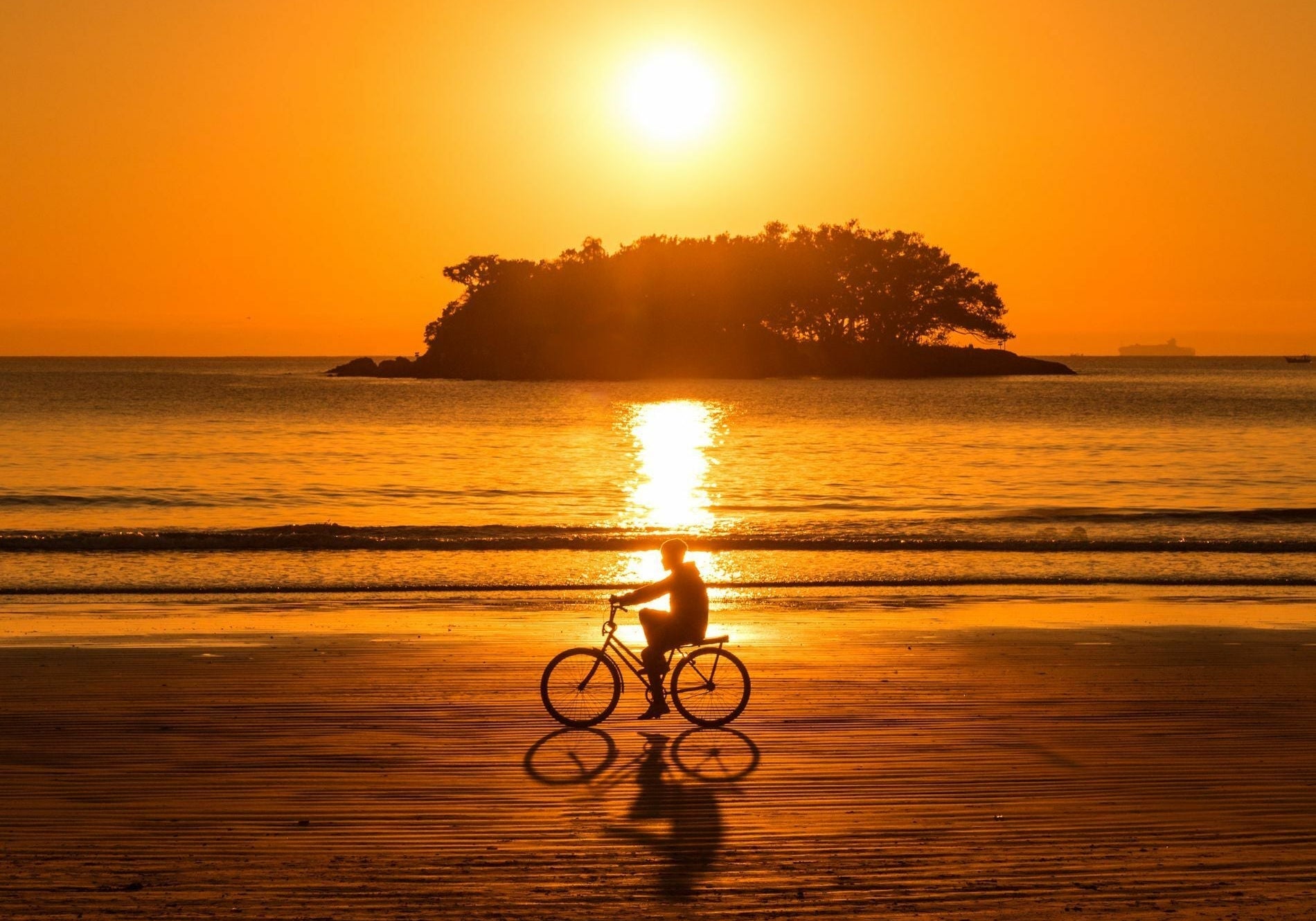 Best Cycling Glasses for Early Morning and Twilight Rides