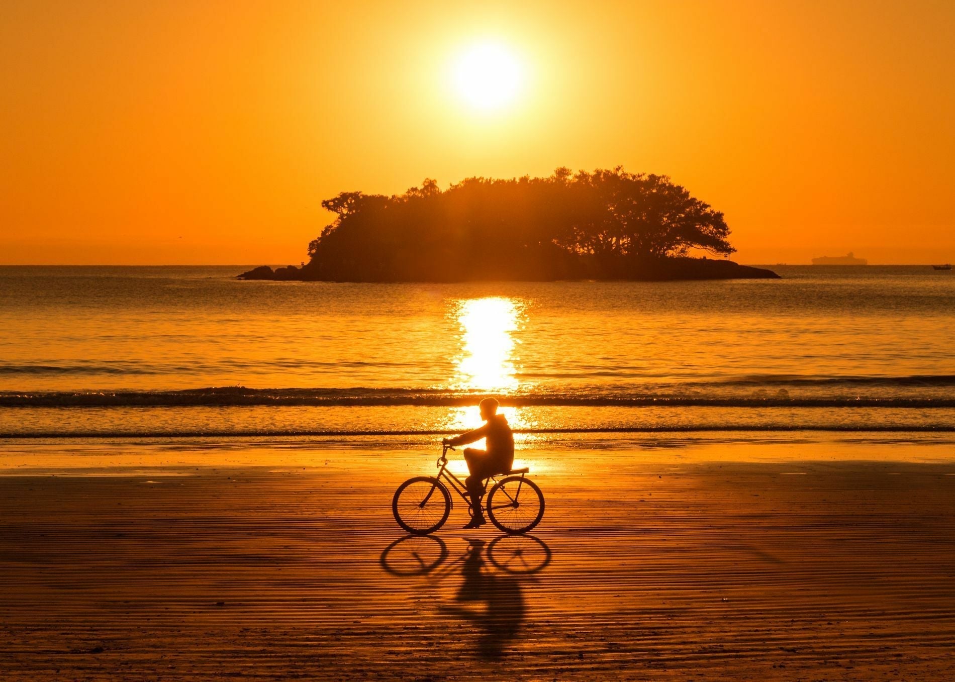 Best Cycling Glasses for Early Morning and Twilight Rides